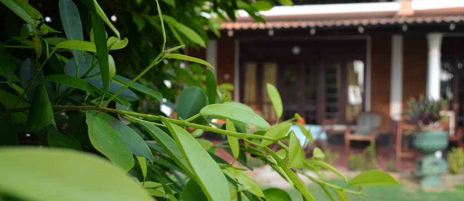 Sun & Sea, rooms at the beach, excellent fish and seafood restaurant, Bentota, Sri Lanka