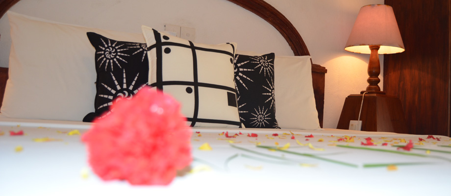 Sun & Sea, rooms at the beach, excellent fish and seafood restaurant, Bentota, Sri Lanka