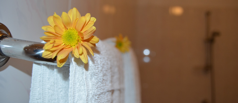 Sun & Sea, rooms at the beach, excellent fish and seafood restaurant, Bentota, Sri Lanka