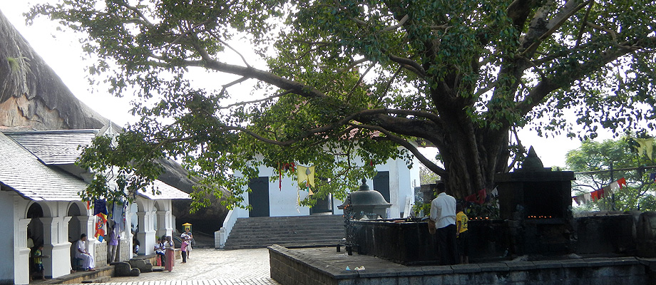 Sun and Sea, Zimmer, Gästehaus, Bungalows am Strand, Fischrestaurant, Bentota, Sri Lanka