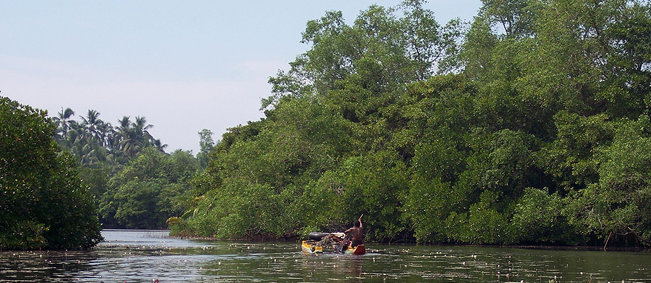 Sun and Sea, Zimmer, Gästehaus, Bungalows am Strand, Fischrestaurant, Bentota, Sri Lanka