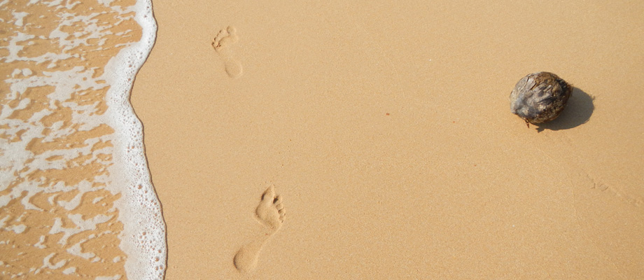 Sun and Sea, Zimmer, Gästehaus, Bungalows am Strand, Fischrestaurant, Bentota, Sri Lanka
