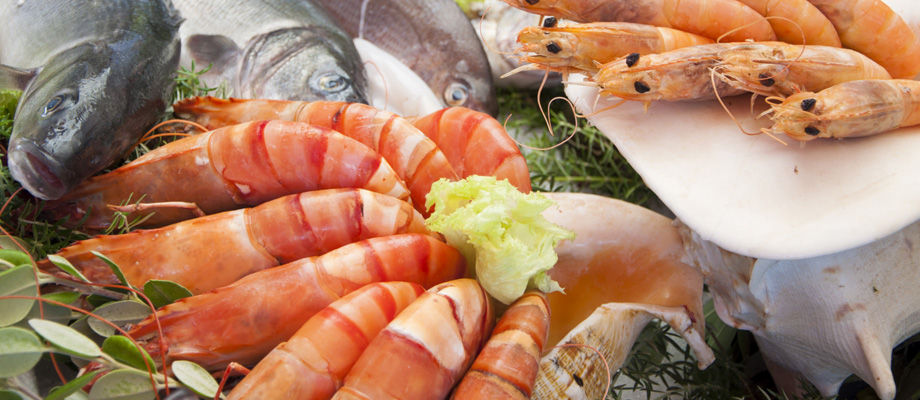 Sun and Sea, Zimmer, Gästehaus, Bungalows am Strand, Fischrestaurant, Bentota, Sri Lanka