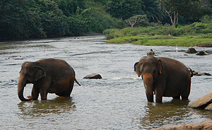 Sun & Sea Restaurant