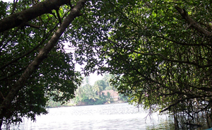 Sun & Sea Restaurant